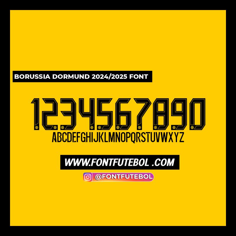 BORUSSIA DORMUND 2024/2025 SOURCE